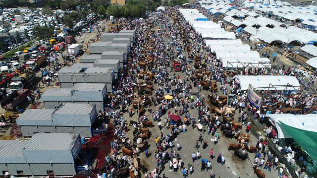 60 Bin Metrekarelik Kurban Satış ve Kesim Alanı Doldu Taştı