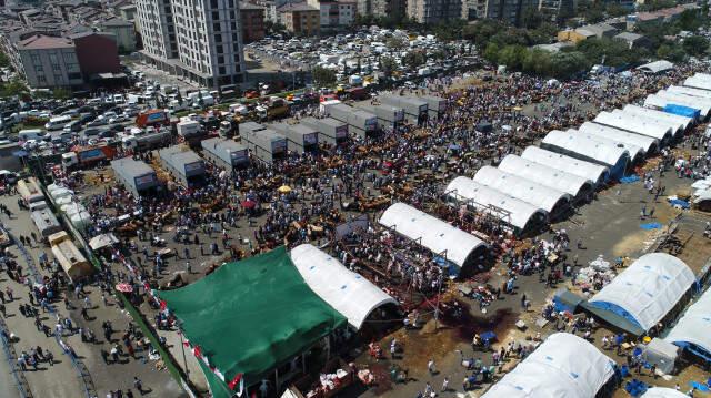 60 Bin Metrekarelik Kurban Satış ve Kesim Alanı Doldu Taştı