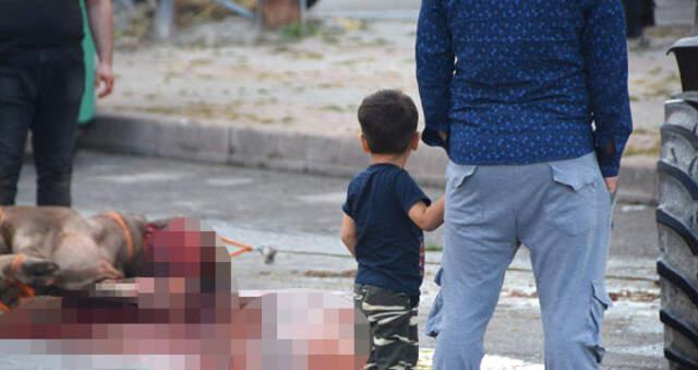 Başakşehir'de boş arsa kaçak kesim yapanlarla doldu