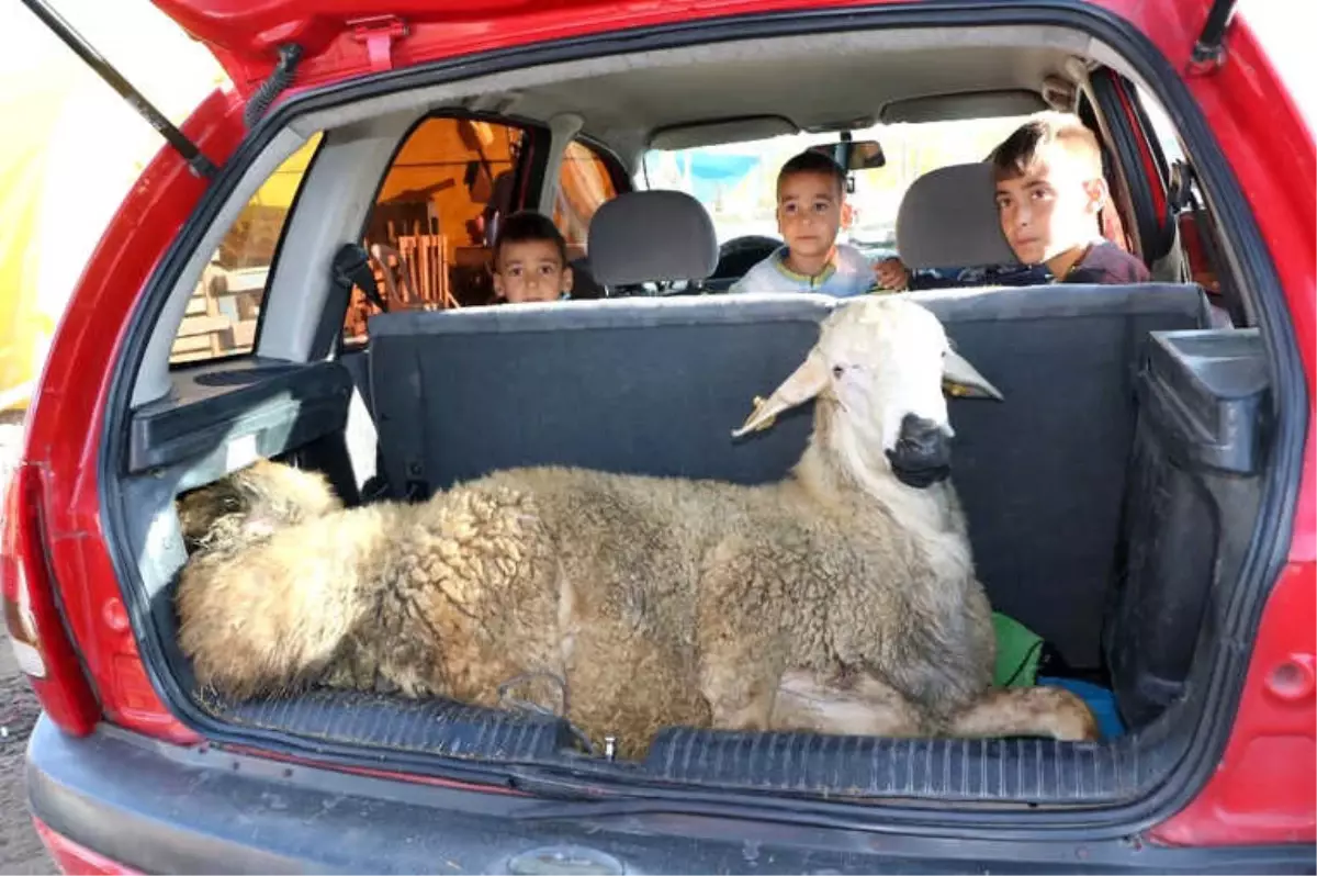 Yozgat'ta Kurbanlar Kesildi