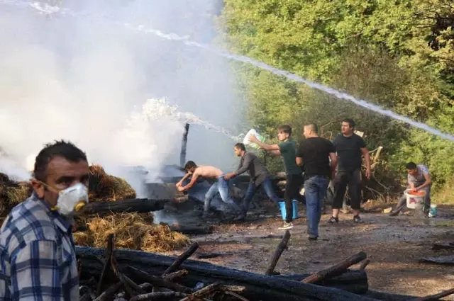 Samanlıkta Çıkan Yangın 1 Ev 4 Samanlığı Kullanılamaz Hale Getirdi