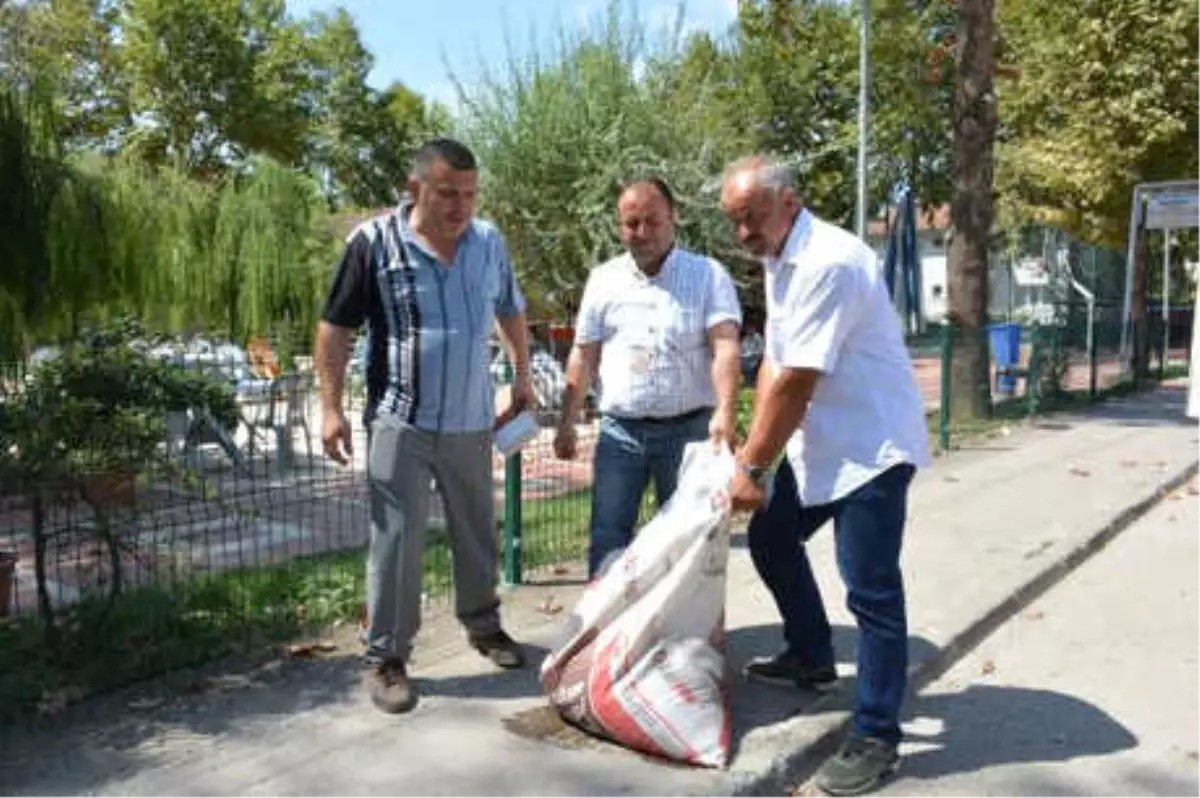 Engelli Arkadaşlarına Araç Almak İçin Kurban Derisi Topluyorlar