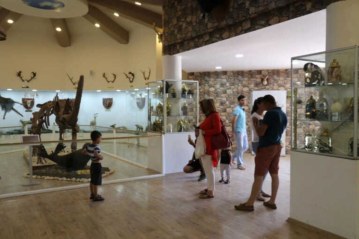 Gaziantep Zooloji ve Doğa Müzesi'ne Yoğun İlgi