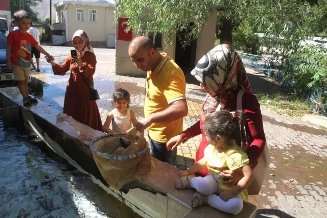 Dünyanın En Genç Şelalesi 400 Bin Misafire Ev Sahipliği Yapıyor Haberler