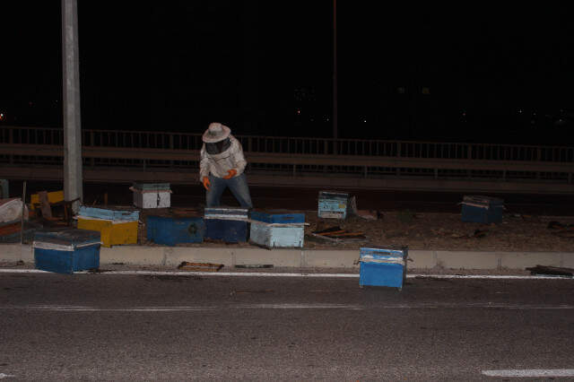 Kovan Yüklü Kamyonet Devrildi Arılar Etrafa Saçıldı
