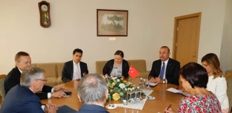 Çavuşoğlu, Litvanya Başbakanı Skvernelis ile Görüştü