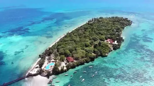 Dev Kaplumbağaların Yuvası: Changuu Adası Dev Kaplumbağaların Yuvası: Changuu Adası