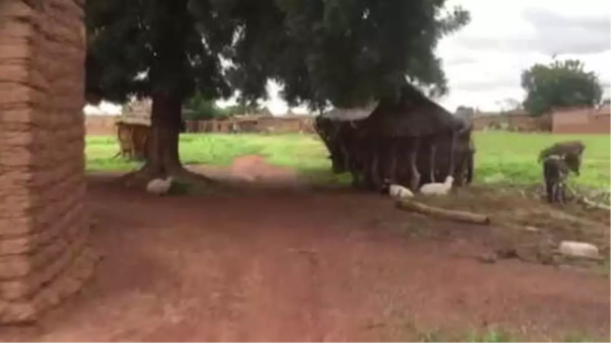 Afrikalı Çocukların Balon Şaşkınlığı - Burkina