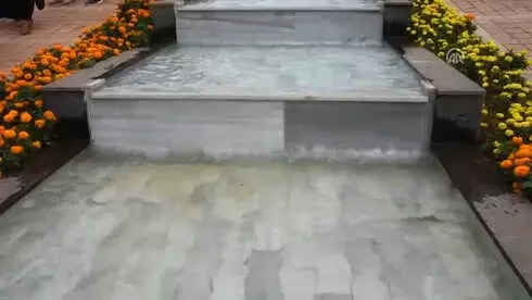 Binlerce Bitki Bulunan 'Trabzon Botanik' Hizmete Girdi Binlerce Bitki Bulunan 'Trabzon Botanik' Hizmete Girdi