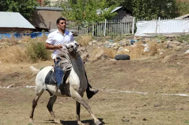 Solhan'da Yöresel At Yarışları ile Çifte Kutlama Solhan'da Yöresel At Yarışları ile Çifte Kutlama