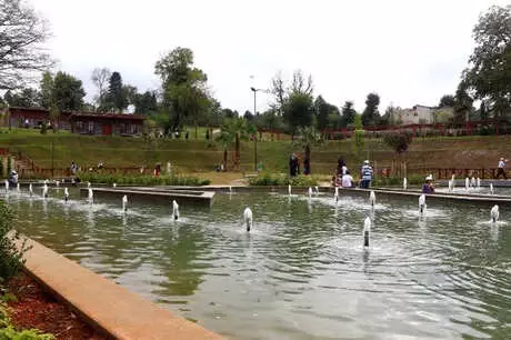 Trabzon'da 130 Çeşit Bitkinin Olduğu Botanik Park Açıldı Trabzon'da 130 Çeşit Bitkinin Olduğu Botanik Park Açıldı