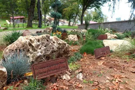 Trabzon'da 130 Çeşit Bitkinin Olduğu Botanik Park Açıldı Trabzon'da 130 Çeşit Bitkinin Olduğu Botanik Park Açıldı