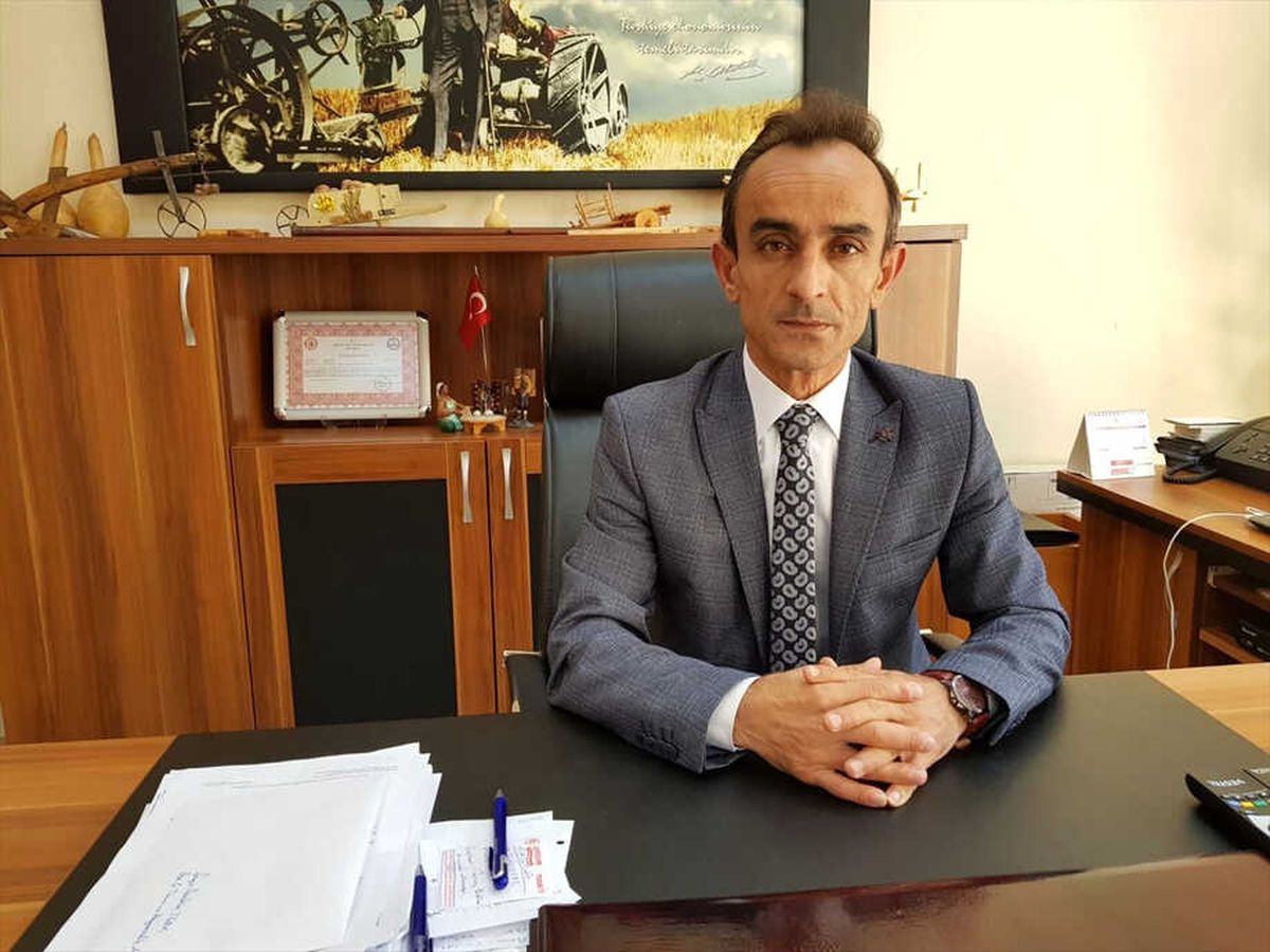 Artova'da Nohut Üretimi Arttı