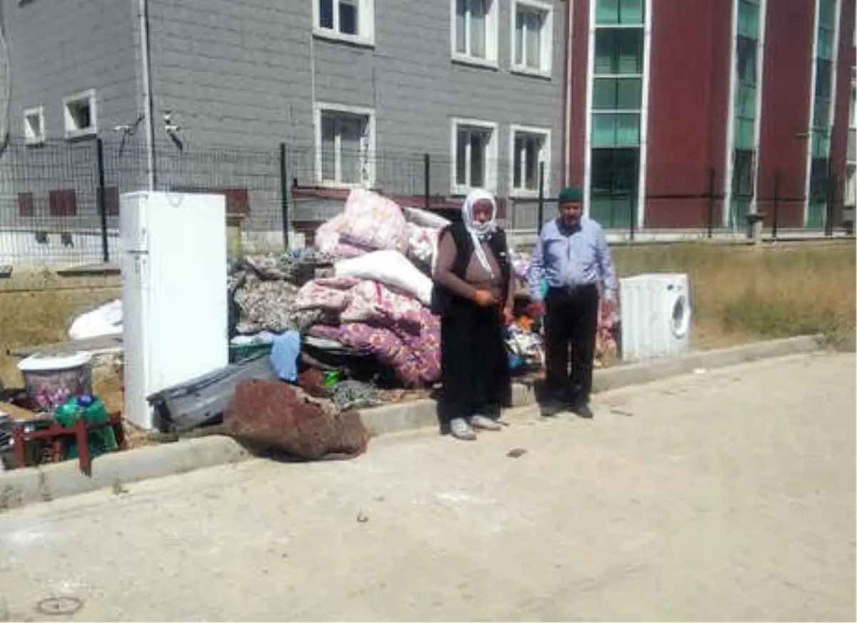 Ev Sahibinin Sokağa Attığı Çifte, Belediye Sahip Çıktı