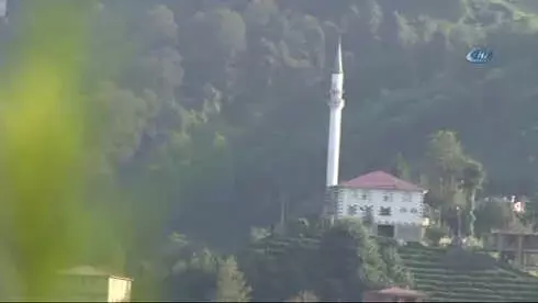 Başkan Demircan Köyünde Çay Topladı Başkan Demircan Köyünde Çay Topladı