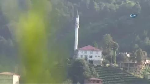 Başkan Demircan Köyünde Çay Topladı Başkan Demircan Köyünde Çay Topladı