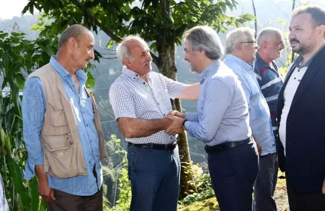 Başkan Demircan Köyünde Çay Topladı Başkan Demircan Köyünde Çay Topladı