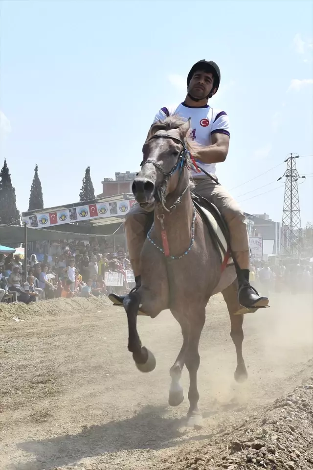 Turgutlu'da Rahvan At Yarışları Yapıldı Haberi Fotografı, Fotografları