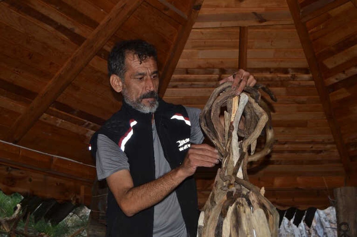 Doğada Görevini Tamamlayan Ağaçlarla Sanat Yapıyor