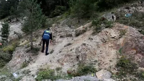 Zigana'nın Ormanları Ilgın Mühendisten Soruluyor Zigana'nın Ormanları Ilgın Mühendisten Soruluyor