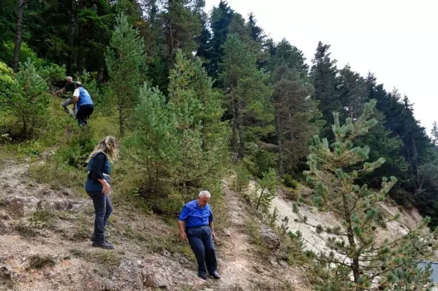 Zigana'nın Ormanları Ondan Soruluyor Zigana'nın Ormanları Ondan Soruluyor