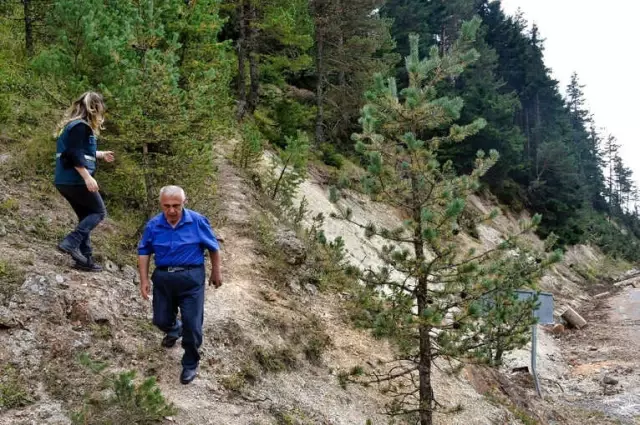 Zigana'nın Ormanları Ondan Soruluyor Zigana'nın Ormanları Ondan Soruluyor