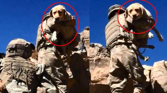 Mehmetçik, Teröristlerin 'Girilemez' Bölge İlan Ettiği İkiyaka Dağları'nda!