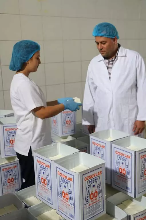 Ezine Peynirinin Sırrı Otlayan Koyun, Keçi ve İneklerde Gizli Ezine Peynirinin Sırrı Otlayan Koyun, Keçi ve İneklerde Gizli