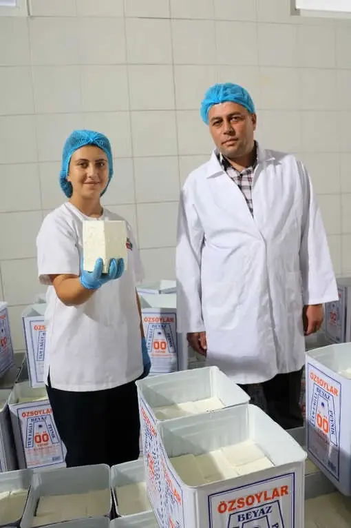 Ezine Peynirinin Sırrı Otlayan Koyun, Keçi ve İneklerde Gizli Ezine Peynirinin Sırrı Otlayan Koyun, Keçi ve İneklerde Gizli