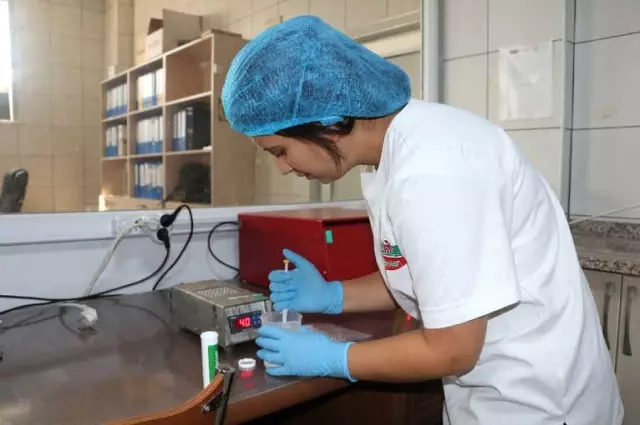 Ezine Peynirinin Sırrı Otlayan Koyun, Keçi ve İneklerde Gizli Ezine Peynirinin Sırrı Otlayan Koyun, Keçi ve İneklerde Gizli