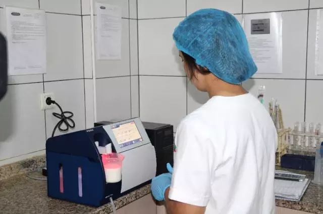 Ezine Peynirinin Sırrı Otlayan Koyun, Keçi ve İneklerde Gizli Ezine Peynirinin Sırrı Otlayan Koyun, Keçi ve İneklerde Gizli