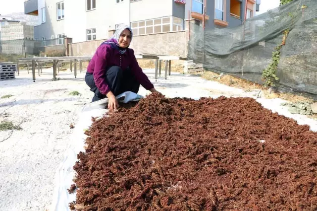 Kahramanmaraş'ta Kadın Girişimciler İçin Program