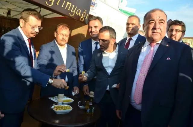 Gemlik'te Zeytini Festivali Coşkusu Gemlik'te Zeytini Festivali Coşkusu