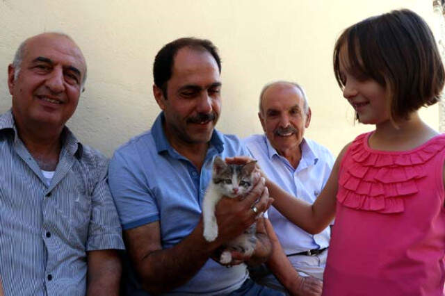 Köylüler, Kışın Sahipsiz Kalan Kediler İçin Cuma Namazı Sonrası Yardım Toplandı
