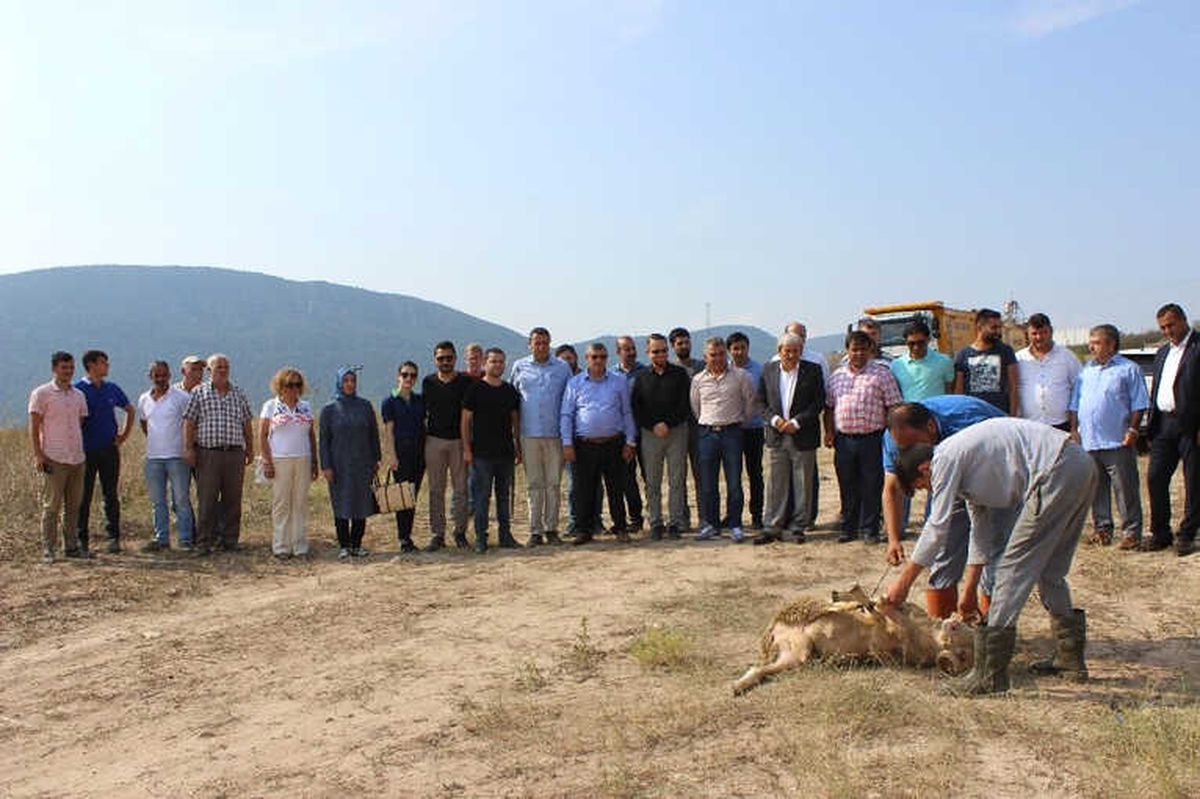 Tayraş İçin Osb'de İlk Kazma Vuruldu