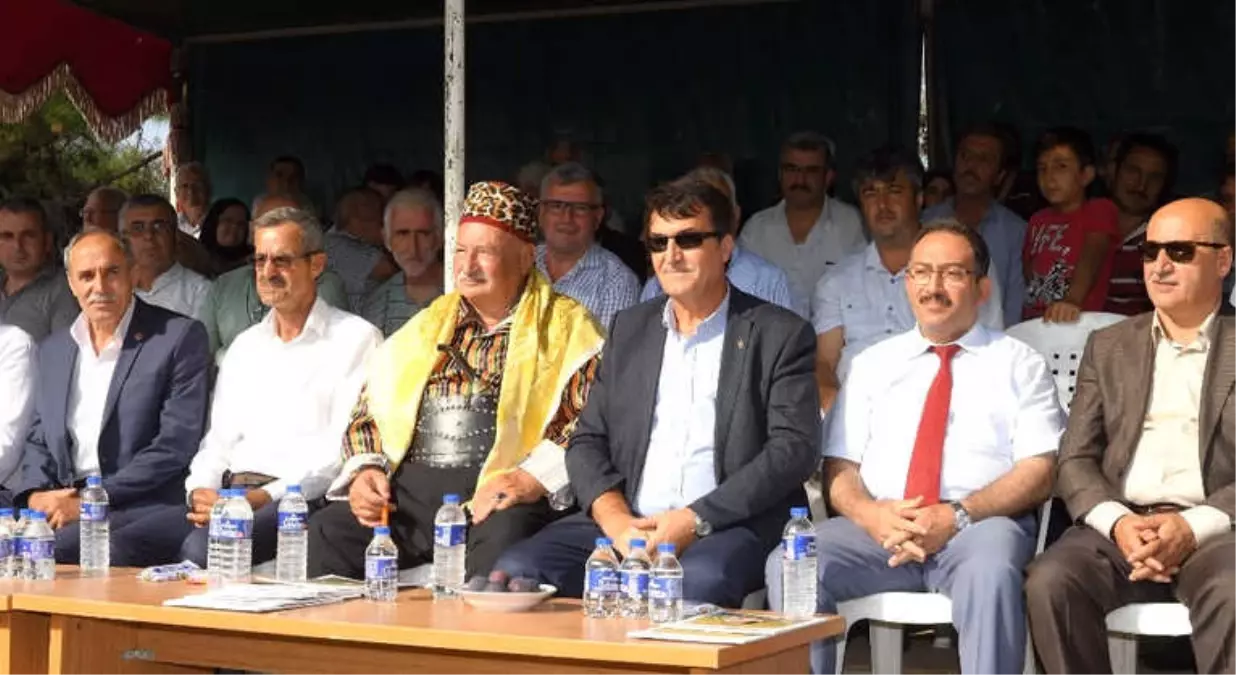 Bursa Karası' Görücüye Çıktı