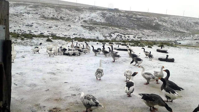 Ardahan'ın Çıldır İlçesinde Erken Yağan Kar, Vatandaşları Şaşırttı