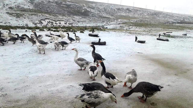 Ardahan'ın Çıldır İlçesinde Erken Yağan Kar, Vatandaşları Şaşırttı