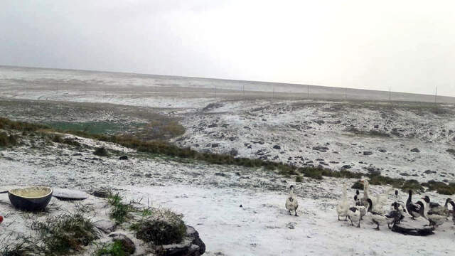 Ardahan'ın Çıldır İlçesinde Erken Yağan Kar, Vatandaşları Şaşırttı