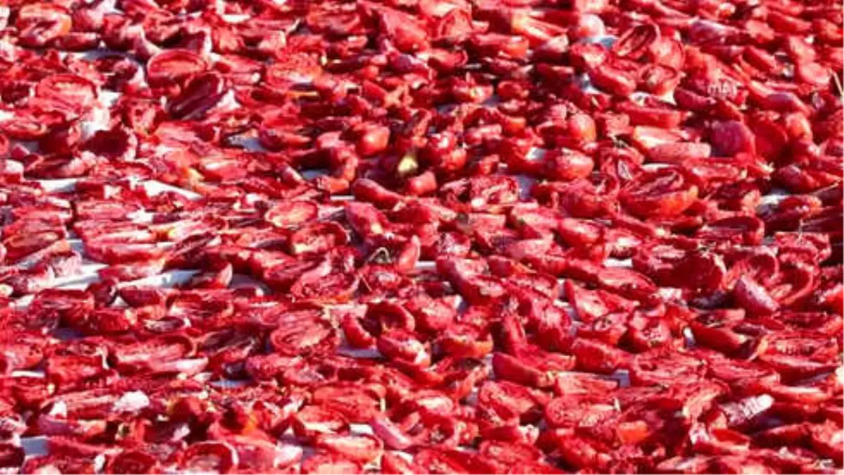 Elazığ'ın Kurutulmuş Domatesi Avrupa Mutfağında