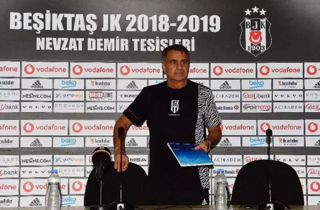 Şenol Güneş: