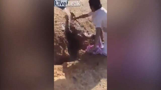 Yuvasındaki Tilkiyi, Çukura Su Dökerek Çıkartmak İsteyen Adamlar Kamerayla Anbean Kaydedildi