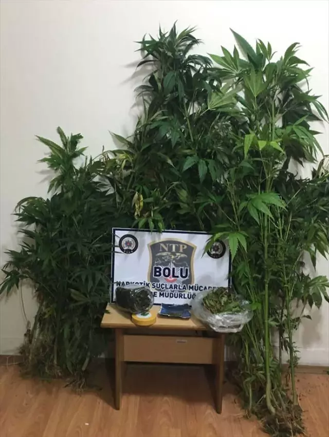 Bolu'da Uyuşturucu Operasyonu