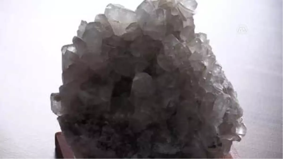 Çay Üretiminde 'Bor Mineralli Gübre Kullanılsın' Önerisi