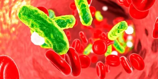 Sepsis Farkındalığı İçin Bisiklet Turu Bursa'da!