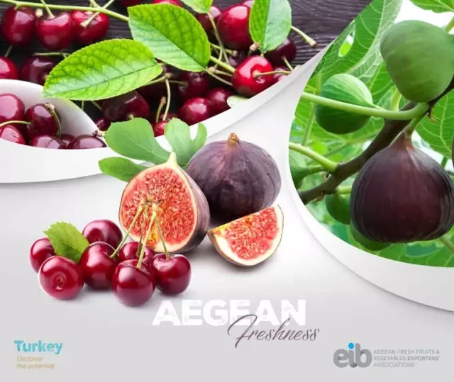 Aydın İnciri Uzakdoğuya Açılıyor