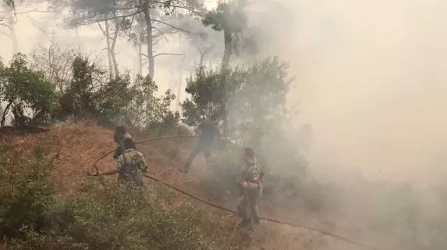 Hatay'daki Orman Yangını 6 Saattir Devam Ediyor