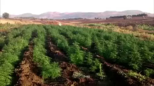 Diyarbakır'daki Terör Operasyonu