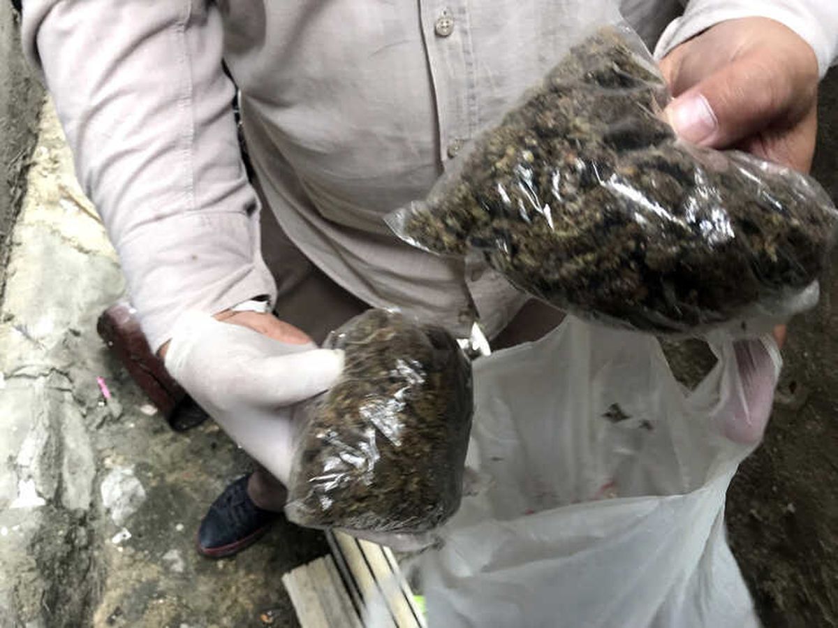 İstanbul'da Pencereden Atılan Uyuşturucuyu 'Eros' Buldu