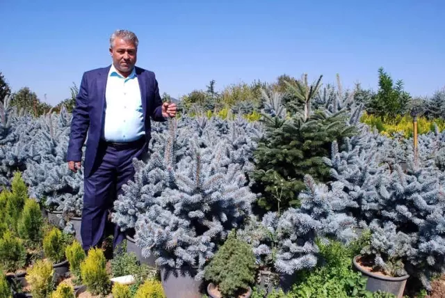 İstanbul Yeni Havalimanını Manisa'nın Fidanları Süsleyecek